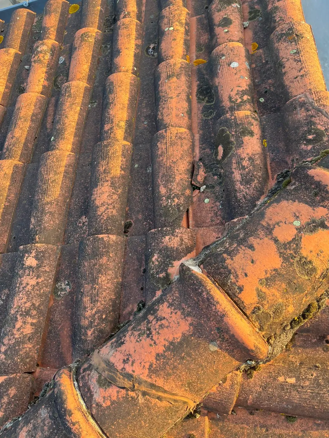 Nos chantiers
