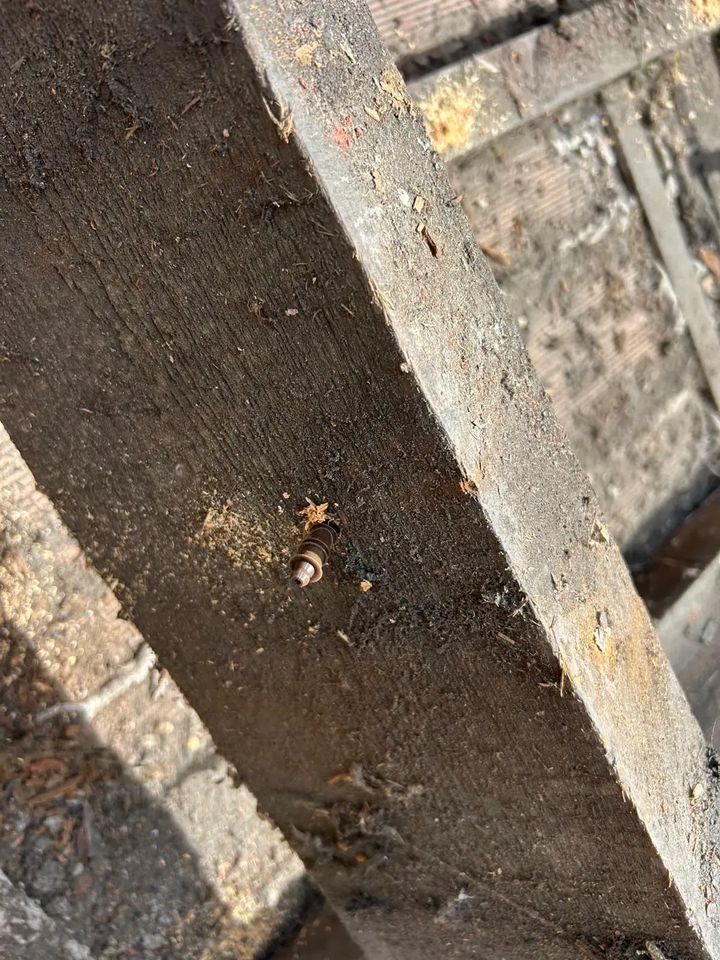 À propos de Creus Habitat